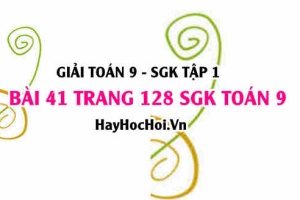 Giải bài 41 trang 128 SGK Toán 9 tập 1